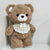 14. Fluffy Brown Teddy Bear with Bib