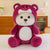 21. Mini Pink Teddy Bear with Hoodie