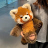 29. Long Tailed Fox